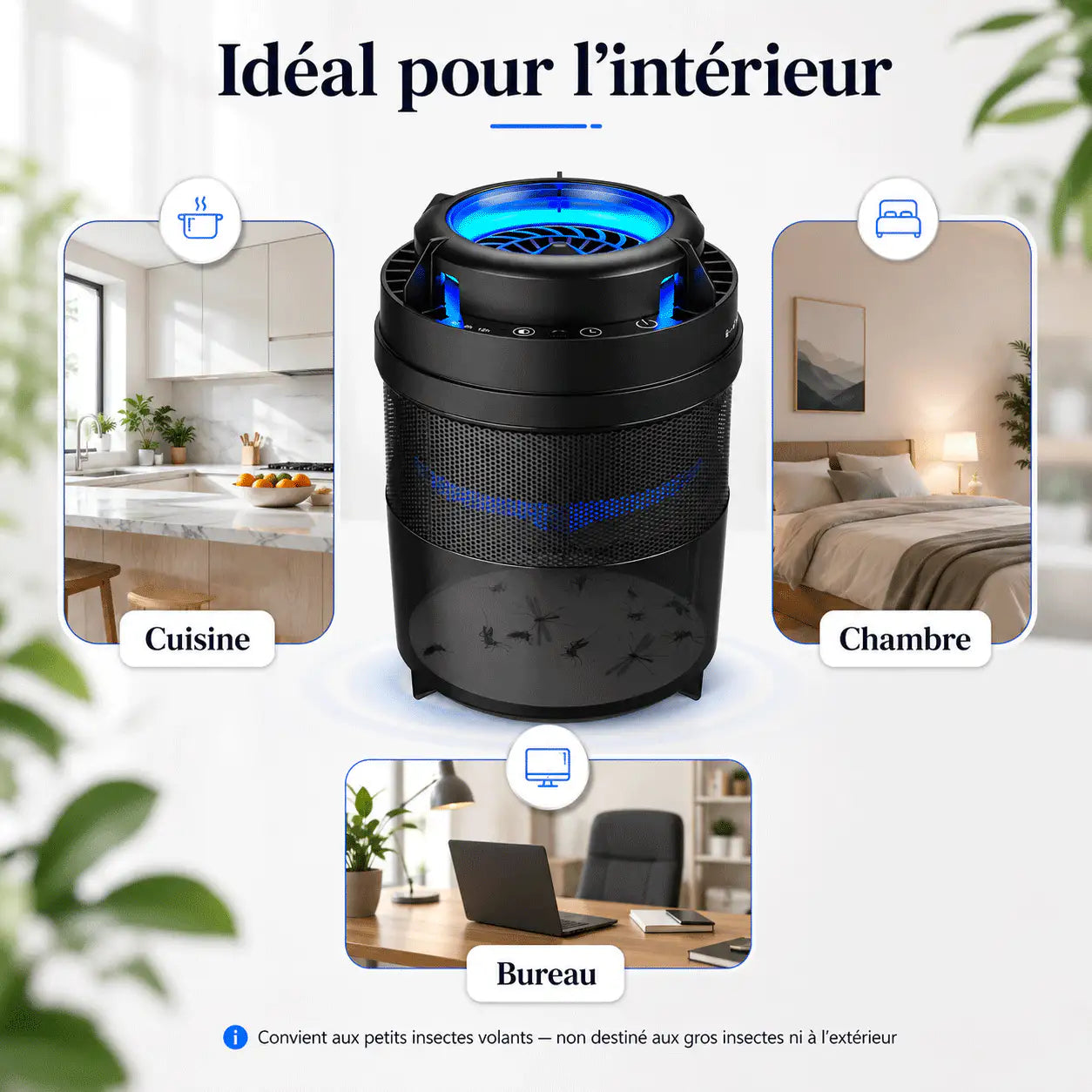 Piège Anti-Insectes